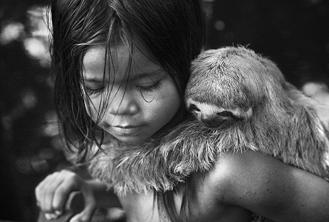 Aim and target: Revelations as a nature photographer • INSP News Service