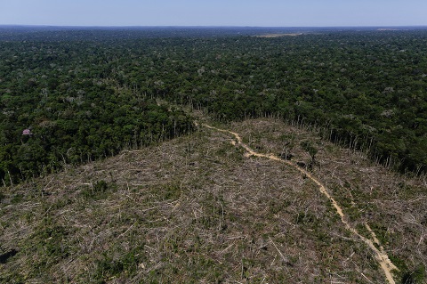 En Brasil, Los Satélites Ayudan A Los Científicos A Rastrear Y 